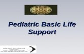 Pediatric Basic Life Support. Pediatric Chain of Survival 1.prevention, 2.early CPR, 3.prompt access to the emergency response system, 4.rapid PALS, 5.