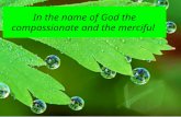 Center for Health Network Expansion & Health Promotion In the name of God the compassionate and the merciful.