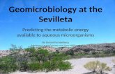 Geomicrobiology at the Sevilleta Predicting the metabolic energy available to aqueous microorganisms By Samantha Adelberg Mentors: Laura Crossey and Amy.