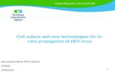 1 Cell culture and new technologies for in- vitro propagation of HEV virus Alessandra Berto PhD student Pulawy 14/4/2101.