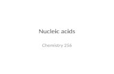 Nucleic acids Chemistry 256. Nucleic acids = polynucleotide The term includes both DNA (deoxyribonucleic acid) and RNA (ribonucleic acid) Polymers of