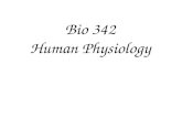 Bio 342 Human Physiology Theme of this course: Homeostasis Aging, infection, injury, disease Disturbed homeostasis.