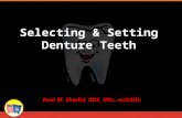 Selecting & Setting Denture Teeth Rola M. Shadid, BDS, MSc, m(AAID)