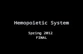 Hemopoietic System Spring 2012 FINAL. 2 Hemopoietic System 1) 2) 3) 4)