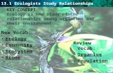 13.1 Ecologists Study Relationships Review Vocab: Organism Population New Vocab: Ecology Community Ecosystem Biome KEY CONCEPT Ecology is the study of.