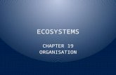 ECOSYSTEMS CHAPTER 19 ORGANISATION. E1 Populations are the units of the community E1.1 know that a community is made up of localised, interacting populations:
