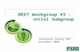 NEET Workgroup #3 - Residential Subgroup Snohomish County PUD November 2008.