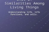 Unit 2: Similarities Among Living Things Understanding life, life functions, and cells.
