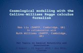 Cosmological modelling with the Collins-Williams Regge calculus formalism Rex Liu (DAMTP, Cambridge, UK) In collaboration with Ruth Williams (DAMTP, Cambridge,