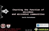 Charting the function of microbes and microbial communities Curtis Huttenhower 11-17-11 Harvard School of Public Health Department of Biostatistics.