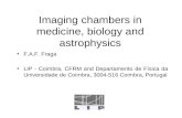 Imaging chambers in medicine, biology and astrophysics F.A.F. Fraga LIP - Coimbra, CFRM and Departamento de Física da Universidade de Coimbra, 3004-516.