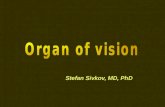 Stefan Sivkov, MD, PhD. Development А. Onset 22 day of gestation; from neuroectoderm, ectoderm & mesoderm. B. Diencephalic vesicle gives origin to optic.