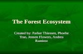 The Forest Ecosystem Created by: Parker Thiessen, Phoebe Tran, Jensen Flowers, Andrea Ramirez.