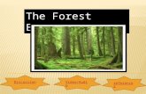 DiscussionVideo/Audio references. What is forest ecosystem? Click HERE for the definitionHERE And what forest ecosystem all about. Click HERE for the.