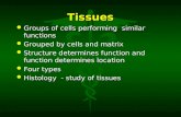 Tissues Groups of cells performing similar functions Groups of cells performing similar functions Grouped by cells and matrix Grouped by cells and matrix.