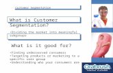 Customer Segmentation What is Customer Segmentation? Dividing the market into meaningful subgroups What is it good for? Finding underserved consumers Targeting.