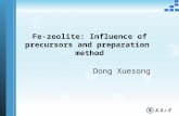 Dong Xuesong Fe-zeolite: Influence of precursors and preparation method.