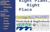 1 Right Plant, Right Place Landscape Design Principles Planning Site Analysis Plant Selection Trees Palms Shrubs Lawns Turf Alternatives Natives Author: