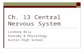 Ch. 13 Central Nervous System Lindsey Bily Anatomy & Physiology Austin High School.