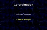 Co-ordination Electrical messenger Chemical messenger.