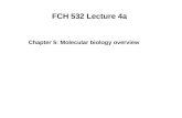 FCH 532 Lecture 4a Chapter 5: Molecular biology overview.