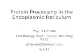 Protein Processing in the Endoplasmic Reticulum Phyllis Hanson Cell Biology Dept., Cancer Res Bldg 4625 phanson22@wustl.edu 9/8/15.