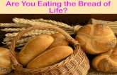 Jesus is the Bread of Life Jn. 6:1-27  5000+ fed, walked on water, people sought physical bread Jn. 6:33-35  Jesus bread from heaven, bread of life,