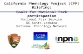 Collaborators: National Park Service UC Santa Barbara National Phenology Network California Phenology Project (CPP) Briefing: Goals for National Park participation.