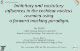 CNBH University of Essex 1 Inhibitory and excitatory influences in the cochlear nucleus revealed using a forward masking paradigm. Ray Meddis CNBH, Hearing.