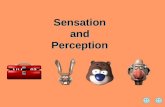 Sensation and Perception.  What do you feel?  You probably feel your rear against your seat.  Ok, now take a whiff around the room – different odors.