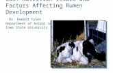 Calf Nutrition Issues and Factors Affecting Rumen Development Dr. Howard Tyler Department of Animal Science Iowa State University.