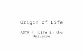 Origin of Life ASTR 4: Life in the Universe. Outline Fossil Records Reconstruction Evolution Tree of Life Eukaryote Evolution Lateral Gene Transfer Theories.