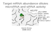 Target mRNA abundance dilutes microRNA and siRNA activity Aaron Arvey ISMB 2010 MicroRNA Mike needs help to degrade all the mRNA transcripts!