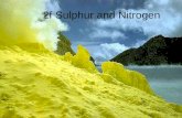 2f Sulphur and Nitrogen. Allotropes of sulphur Sulphur molecule consists of 8 atoms in a ring form.