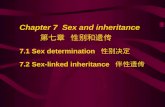 Chapter 7 Sex and inheritance 第七章 性别和遗传 7.1 Sex determination 性别决定 7.2 Sex-linked inheritance 伴性遗传.