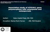 Association study of ATG16L1 gene polymorphism with osteopenia and osteoporosis Author: Radu Anghel Popp, MD, PhD Co-author: Marius Florin Farcas, MD,