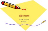 NutritionNutrition NUR 102 Lab Module I. Enteral Nutrition Definition—administration of nutrients directly into the GI tract Beneficial when oral feedings.
