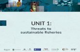 UNIT 1: Threats to sustainable fisheries. 2 Internal threats Activity 1.1: List three (3) potential threats to fisheries. INTERNAL THREATS Overfishing