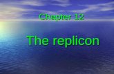 Chapter 12 The replicon. 12.1 Introduction 12.2 Replicons can be linear or circular 12.3 Origins can be mapped by autoradiography and electrophoresis.