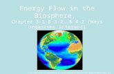 Energy Flow in the Biosphere, Chapter 3-1 & 3-2….& 4-2 (Ways organisms interact) ttavk/weltkarten/globen/1997-1998-biosphere-Nasa.jpg.