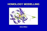 HOMOLOGY MODELLING Chris Wilton. Homology Modelling   What is it and why do we need it? principles of modelling, applications available   Using Swiss-Model.