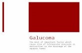 Galucoma The most of important factor which cause rise of intraocular pressure is obstruction to the drainage of the aqueous humor.