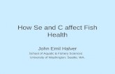 How Se and C affect Fish Health John Emil Halver School of Aquatic & Fishery Sciences University of Washington; Seattle, WA.