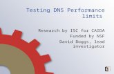 Testing DNS Performance limits Research by ISC for CAIDA Funded by NSF David Boggs, lead investigator.