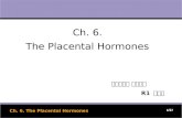 1 1/37 Ch. 6. The Placental Hormones 부산백병원 산부인과 R1 손영실 Ch. 6. The Placental Hormones.