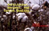 Defoliation, Harvest, and Cotton Quality…. Philip Jost University of Georgia.