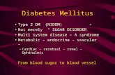 Diabetes Mellitus Type 2 DM (NIDDM) Not merely “ SUGAR DISORDER” Multi system disease – A syndrome Metabolic – endocrine – vascular – –Cardiac – cerebral.