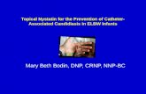 Topical Nystatin for the Prevention of Catheter-Associated Candidiasis in ELBW Infants Mary Beth Bodin, DNP, CRNP, NNP-BC.