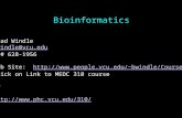 Bioinformatics Brad Windle bwindle@vcu.edu Ph# 628-1956 Web Site: bwindle/Coursesbwindle/Courses.