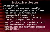 Endocrine System Introduction: Animal hormones are usually secreted by organs specialized for their production and transported through the circulatory.